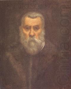 TINTORETTO, Jacopo Self Portrait (mk05) china oil painting image